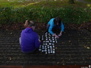 Labyrinth stenen uitleggen